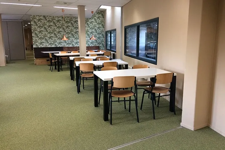 studiekeuze van Anne diermanagement