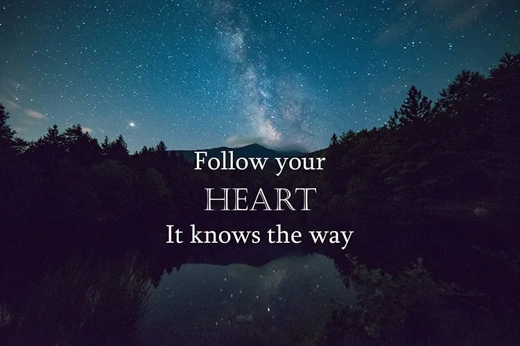 Tussenjaar lilianne quote studiekeuze