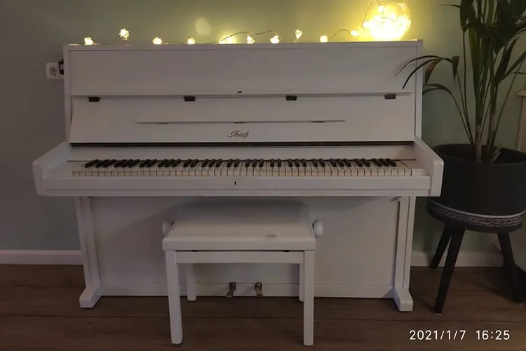 tussenjaar na hbo Nicky