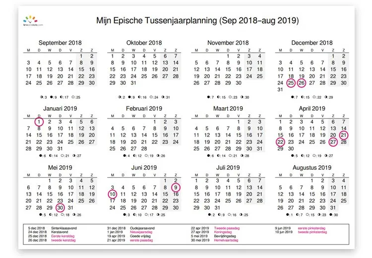 tussenjaar planning