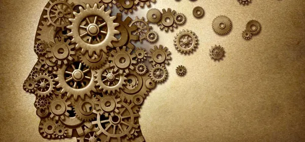 de Belevingswereld van de Studiekiezer