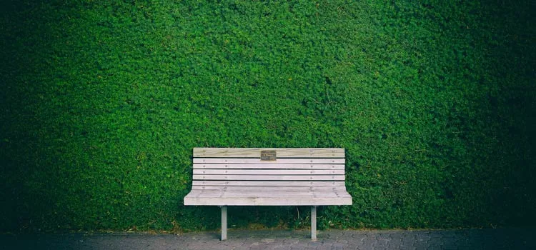 betekenis verkeerde studiekeuze bankje