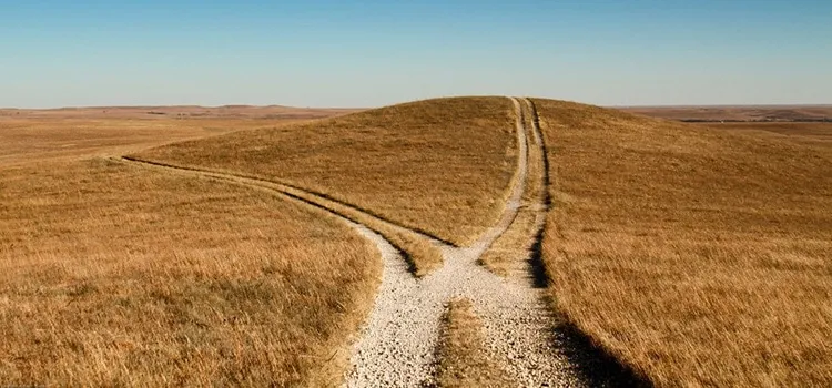 hulp bij studiekeuze examenjaar