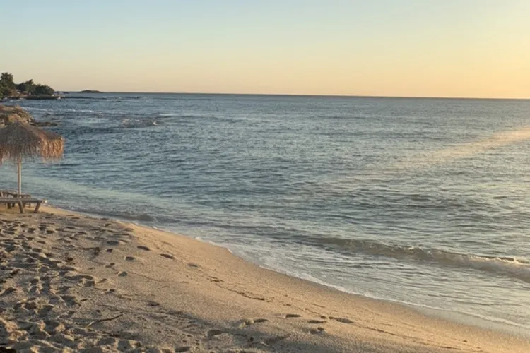 na havo tussenjaar nemen