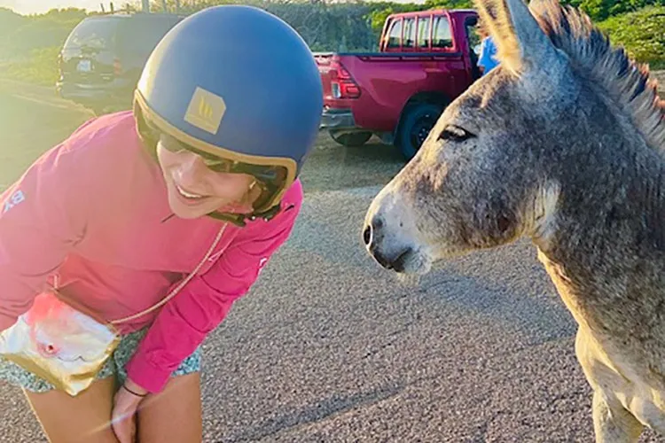 tussenjaar Carice ezel