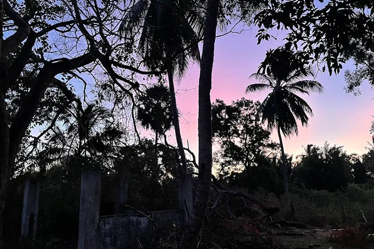 tussenjaar sri lanka