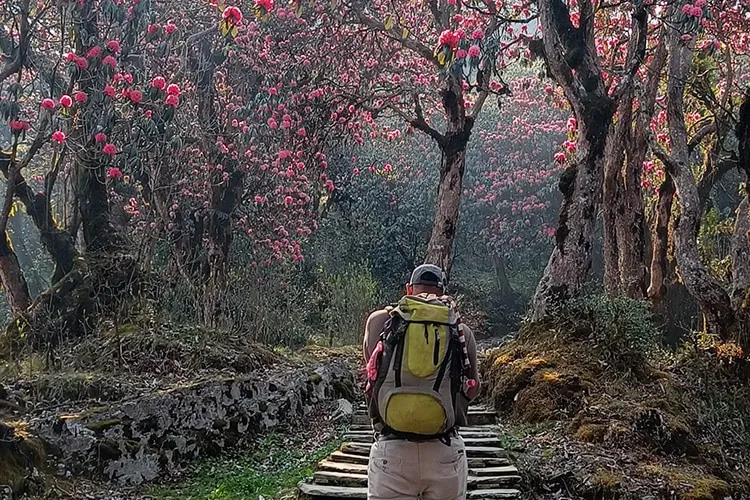 tussenjaar treinreis Europa