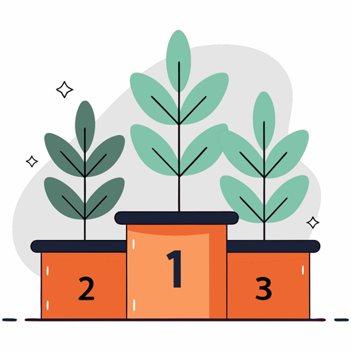 Top-3 Studies Rapport